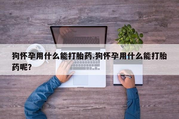 米非司酮片方旗舰店狗怀孕用什么能打胎药.狗怀孕用什么能打胎药呢？
