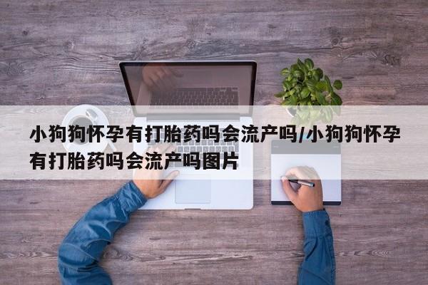 米非司酮片方旗舰店小狗狗怀孕有打胎药吗会流产吗/小狗狗怀孕有打胎药吗会流产吗图片