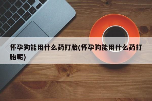 米非司酮片方旗舰店怀孕狗能用什么药打胎(怀孕狗能用什么药打胎呢)